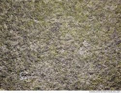 Photo Textures of Ground Grass